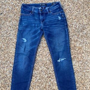 Silver Jeans Suki Joga (stretchy)